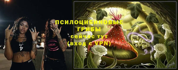 мескалин Арсеньев